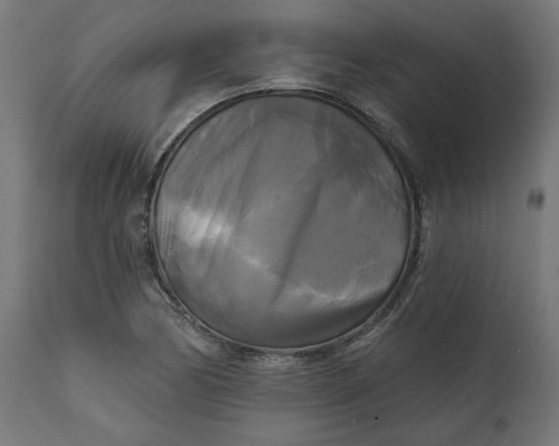 X0000111481170200907281155