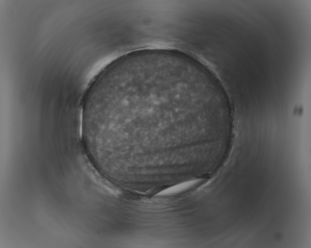 X0000111481171200907281155