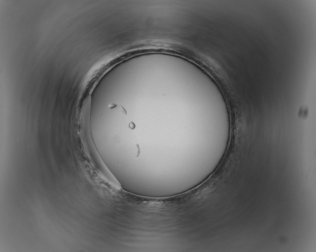 X0000111481172200907281155