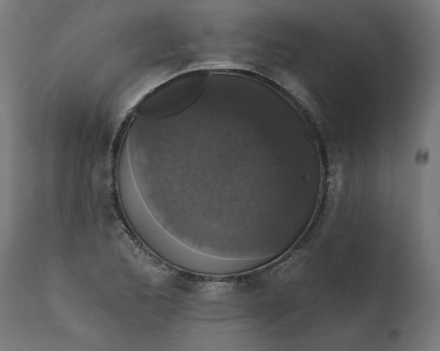 X0000111481173200907281155