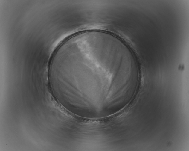 X0000111481174200907281155