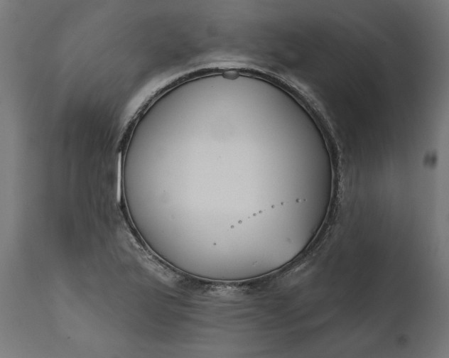 X0000111481175200907281155