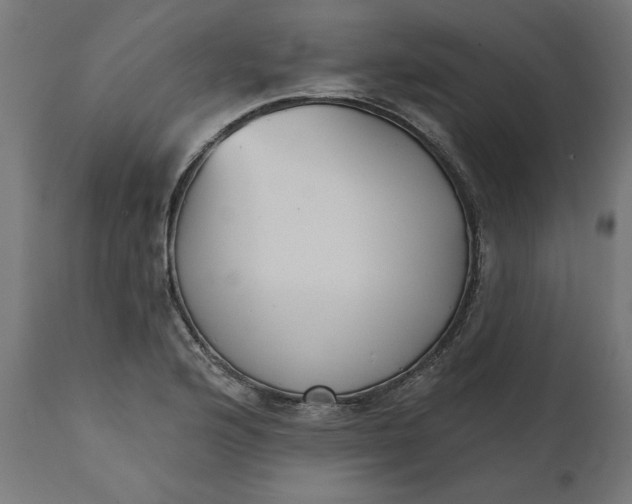 X0000111481176200907281155
