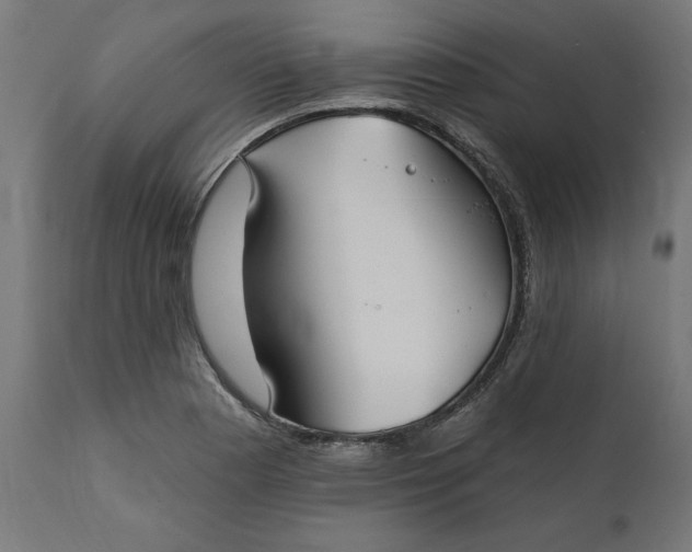 X0000111481177200907281155
