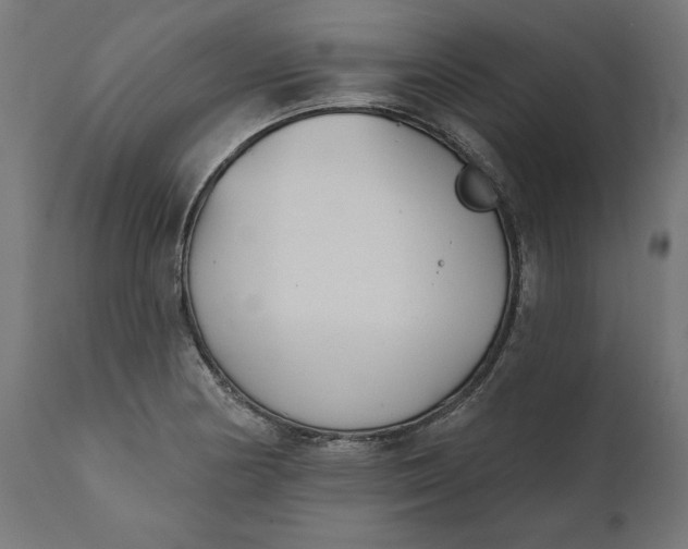 X0000111481178200907281155
