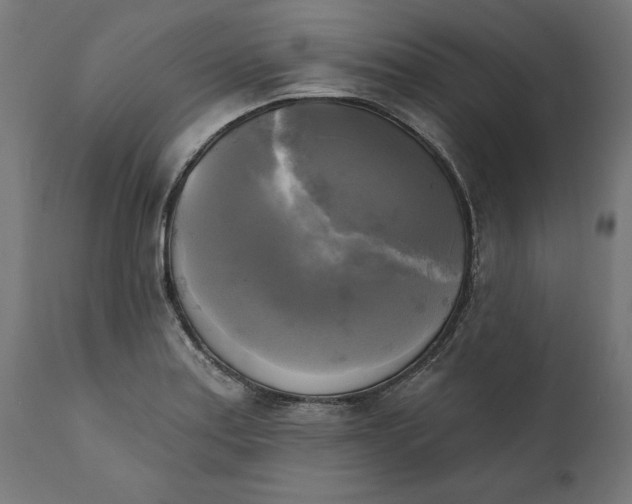 X0000111481179200907281155