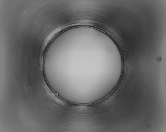 X0000111481180200907281155