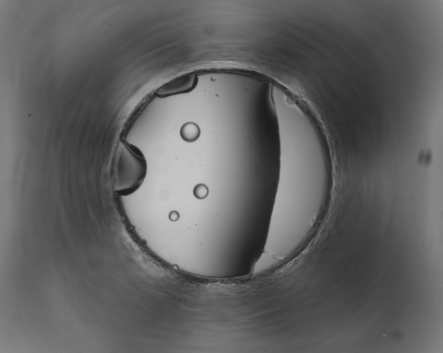 X0000111481181200907281155