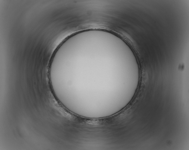 X0000111481182200907281155
