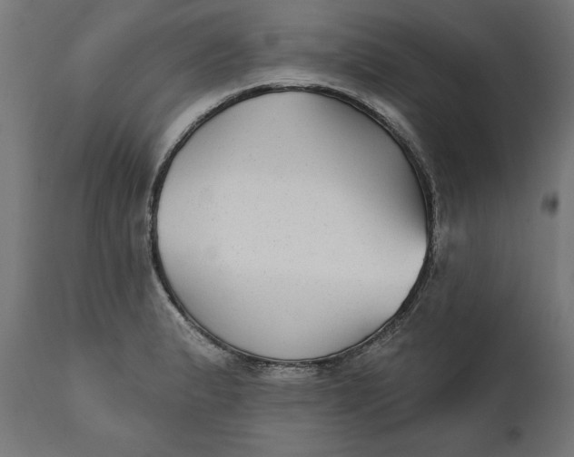 X0000111481183200907281155