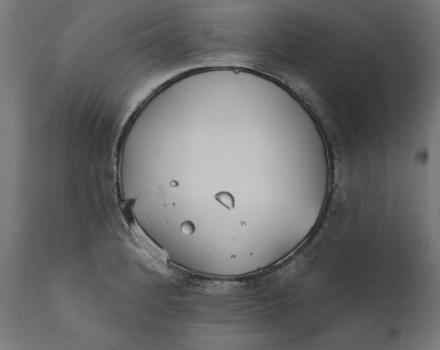 X0000111481184200907281155