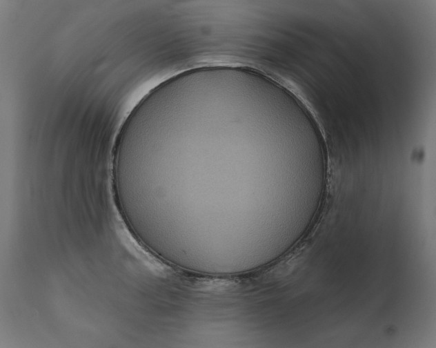 X0000111481187200907281155