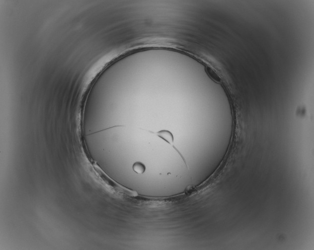 X0000111481188200907281155