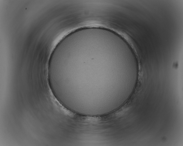 X0000111481191200907281155