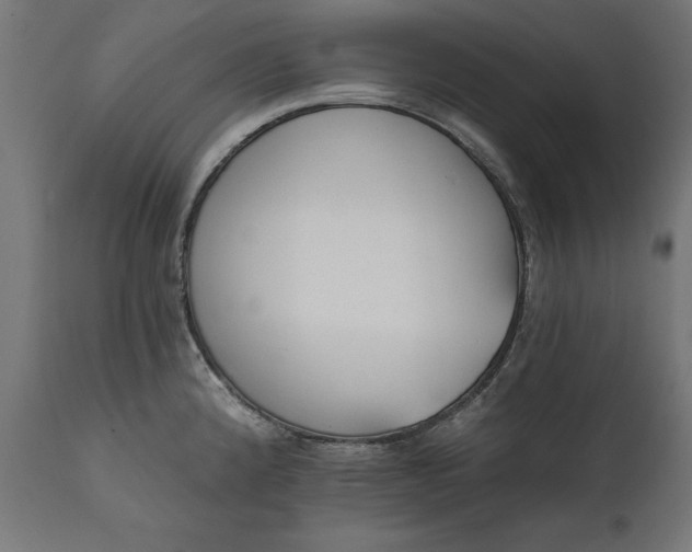 X0000111481192200907281155