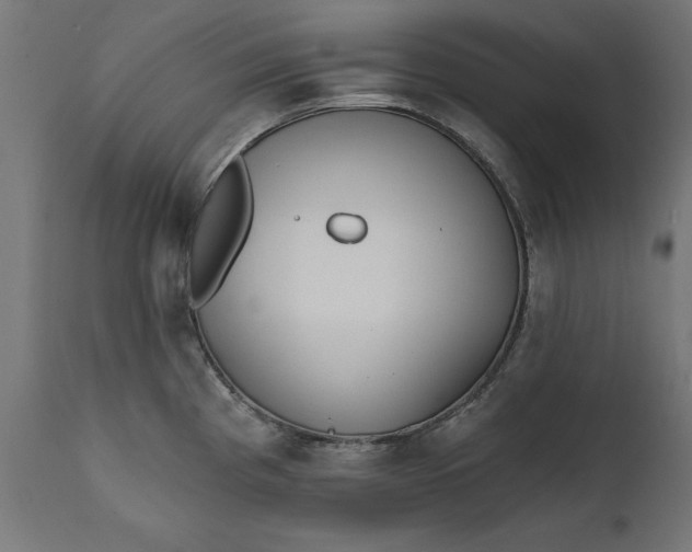 X0000111481193200907281155
