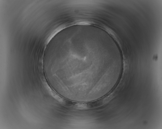 X0000111481194200907281155