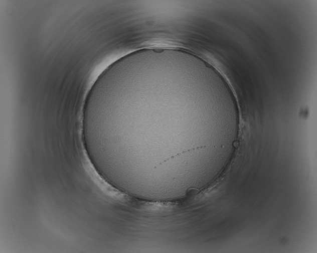 X0000111481195200907281155