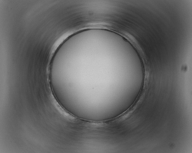 X0000111481196200907281155