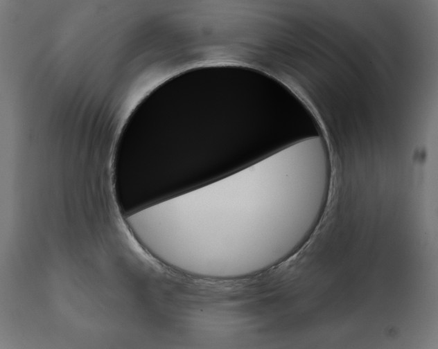 X0000111481197200907281155