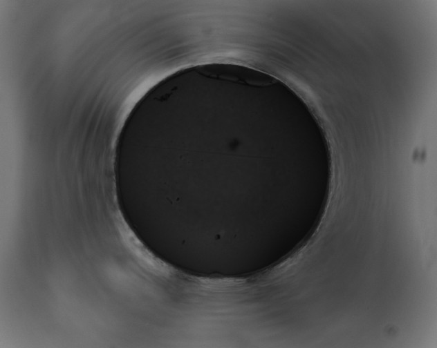 X0000111481200200907281155