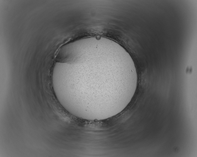 X0000111481201200907281154