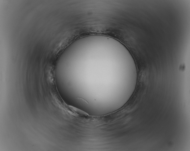 X0000111481202200907281154