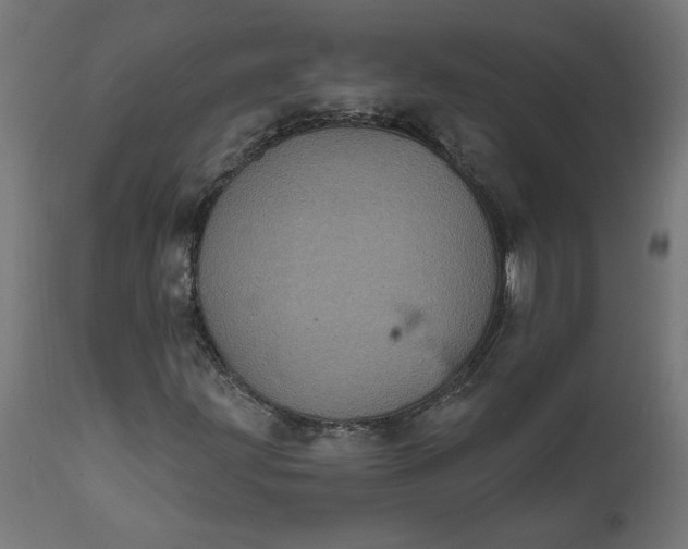 X0000111481203200907281154