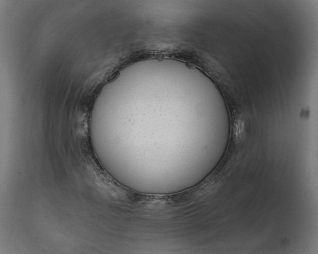 X0000111481204200907281154