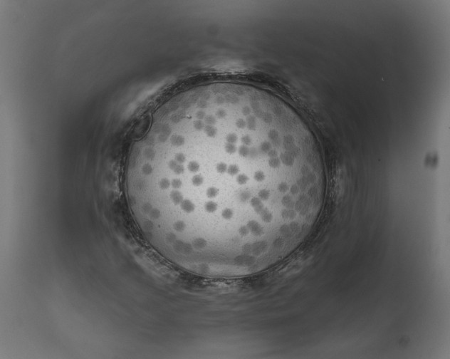 X0000111481205200907281154