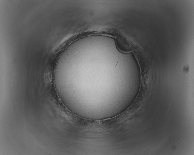 X0000111481206200907281154