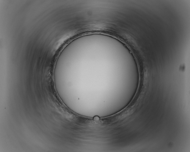 X0000111481210200907281155