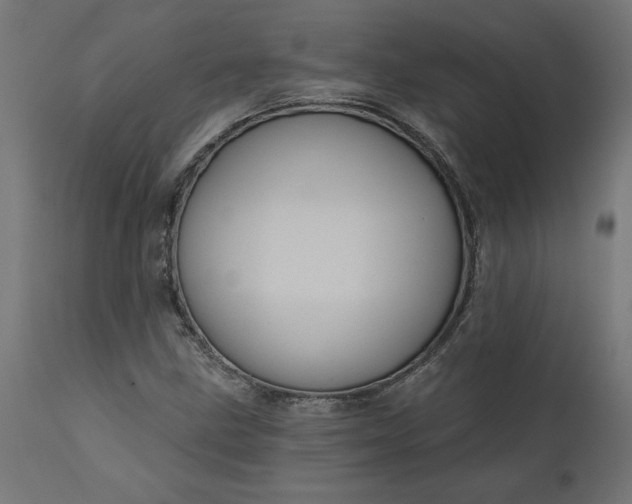 X0000111481211200907281155