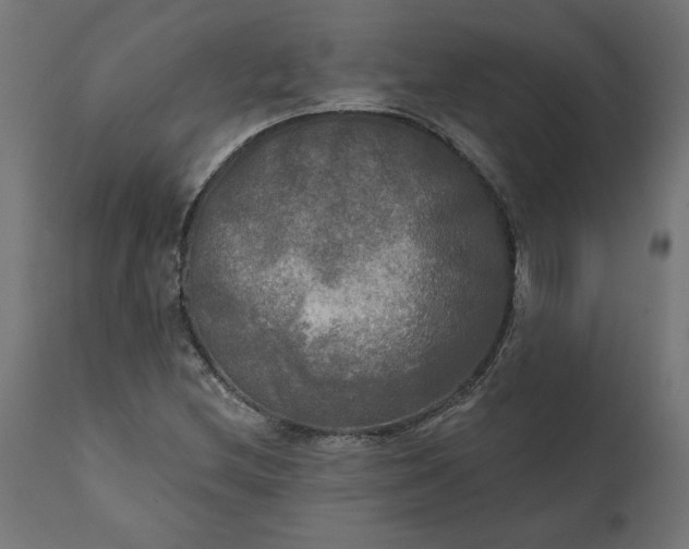 X0000111481212200907281155