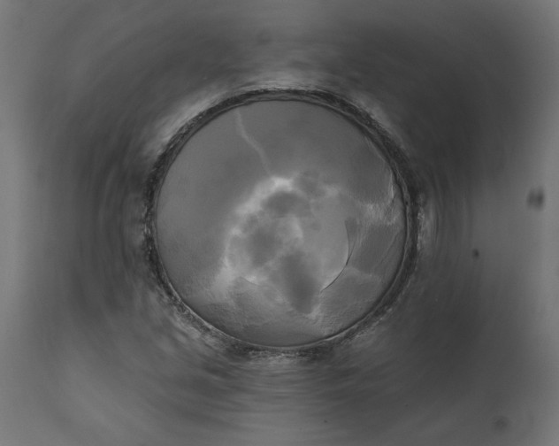 X0000111481213200907281155
