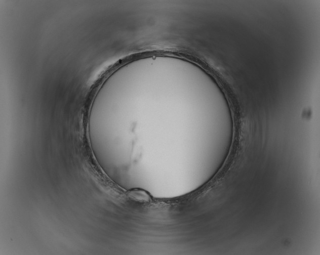 X0000111481214200907281155