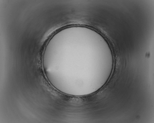 X0000111481215200907281155