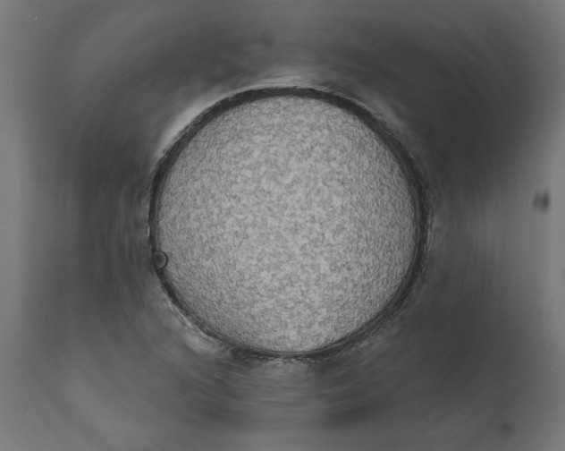 X0000111481216200907281155