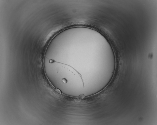 X0000111481218200907281155