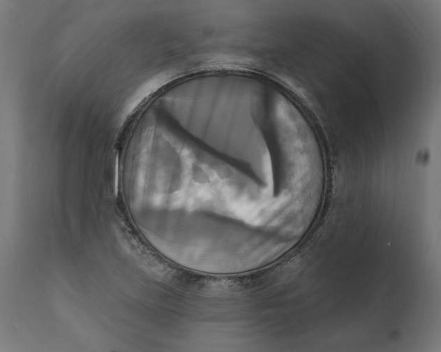 X0000111481219200907281155