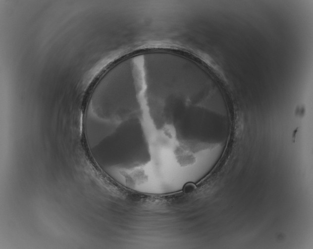 X0000111481221200907281155
