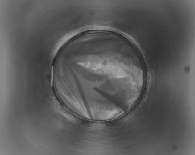 X0000111481223200907281155