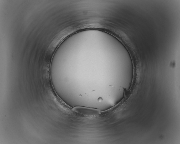 X0000111481225200907281155