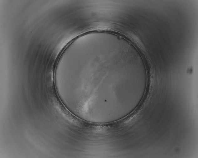 X0000111481226200907281155
