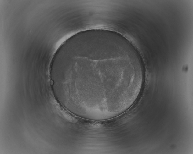 X0000111481230200907281155