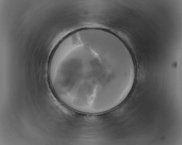 X0000111481231200907281155