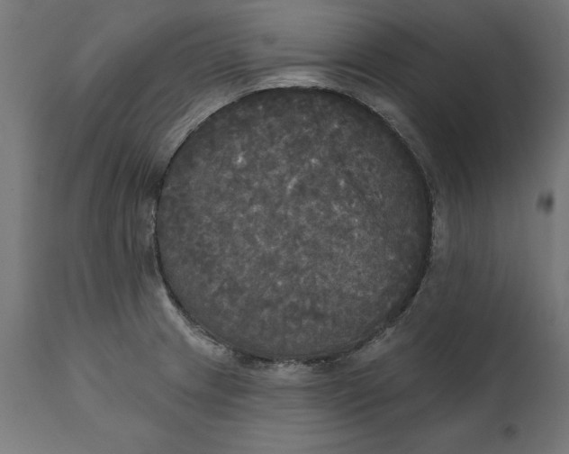 X0000111481233200907281155