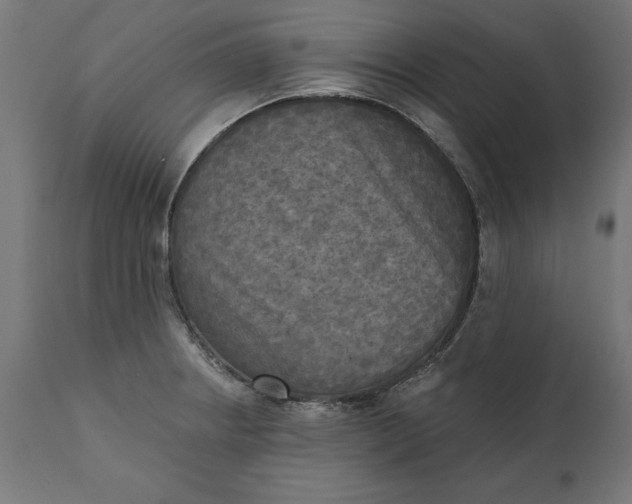 X0000111481234200907281155