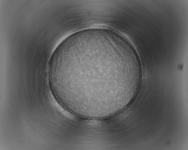 X0000111481235200907281155