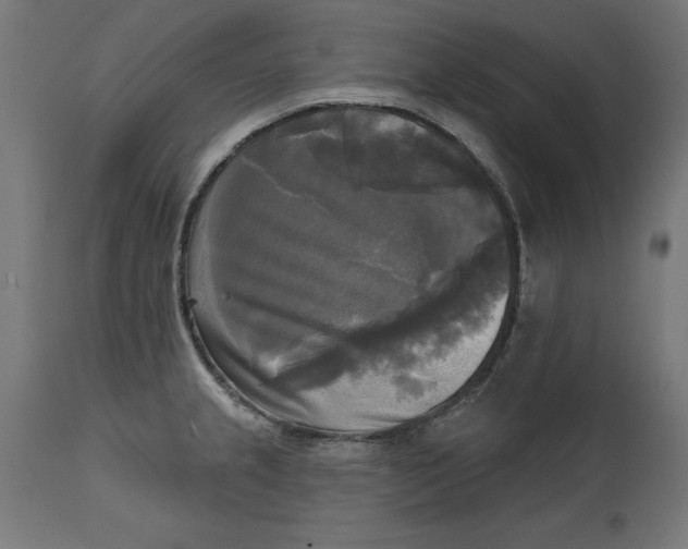 X0000111481237200907281155
